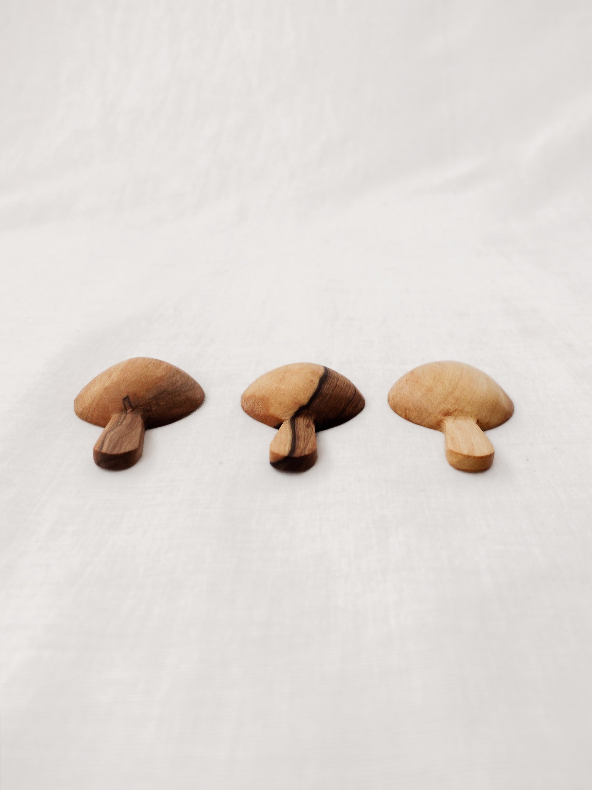 Olieve / Coffee Spoon